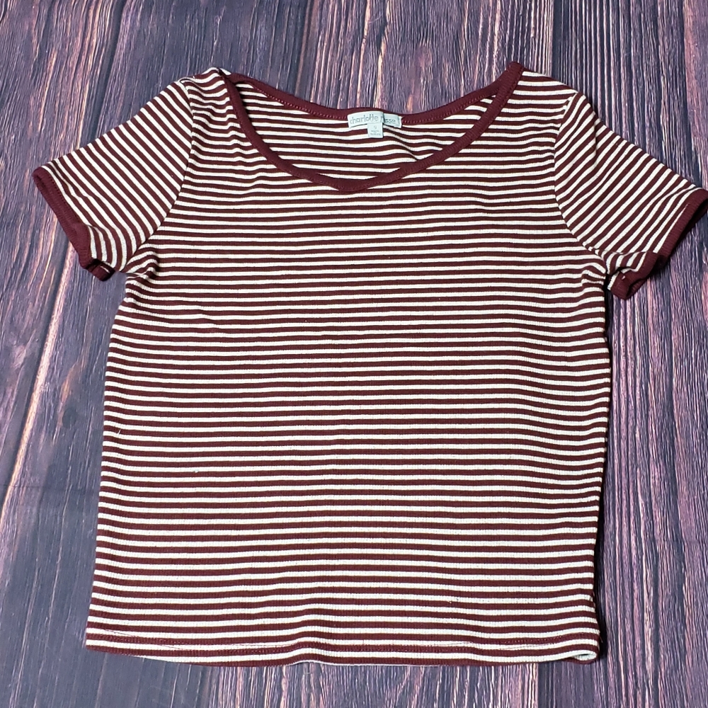Charlotte Russe Striped Crop Top Burgundy White Small